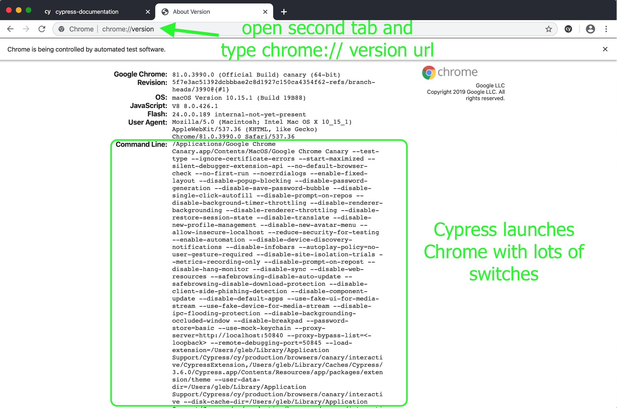 查看所有 Chrome 开关